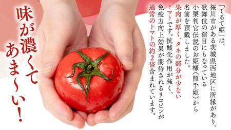 糖度9度以上 スーパーフルーツトマト てるて姫 小箱 約800g × 1箱 【7～13玉/1箱】  [BC065sa]