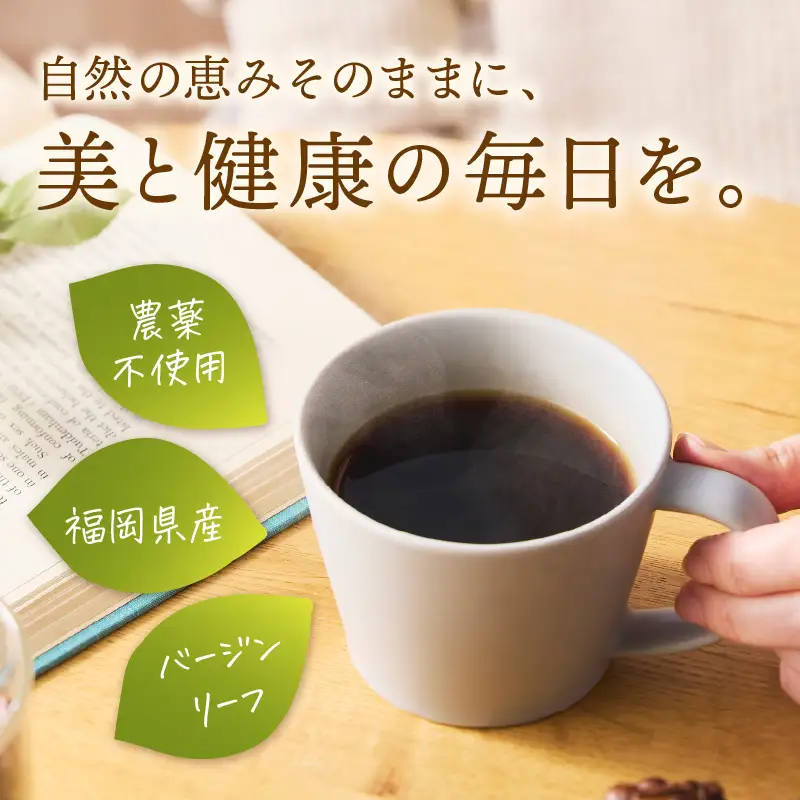 福岡県産モリンガ珈琲【A5-436】