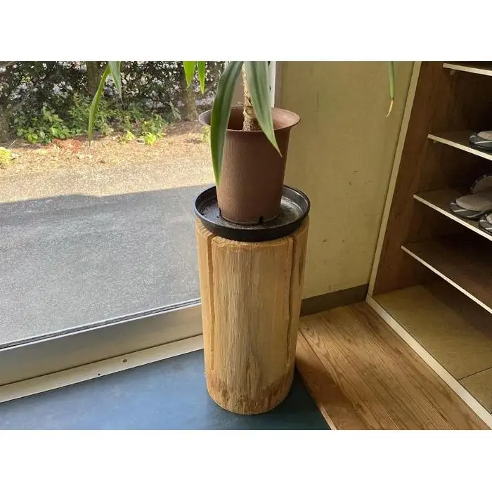 しみずトーチ