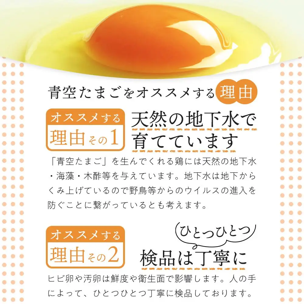 有田の青空たまご ササキのたまご Mサイズ 60個入