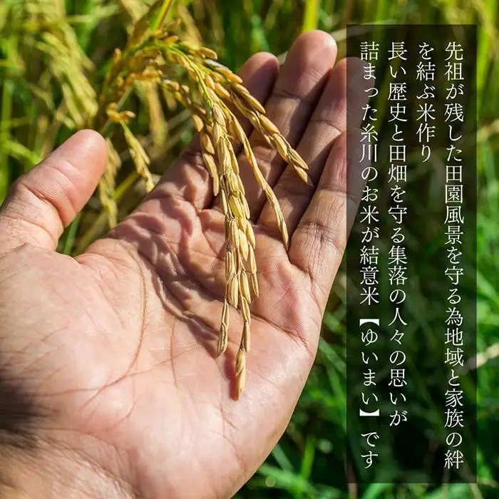 お米 5kg 思いを繋ぐ糸川のお米 結意米 【ゆいまい】和歌山県産 【みかんの会】