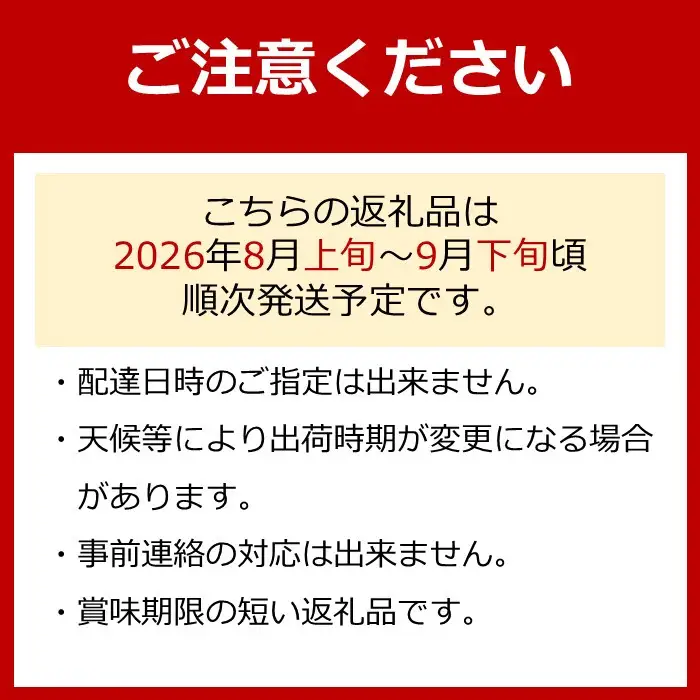 種なし巨峰 約２kg 巨峰 先行予約
