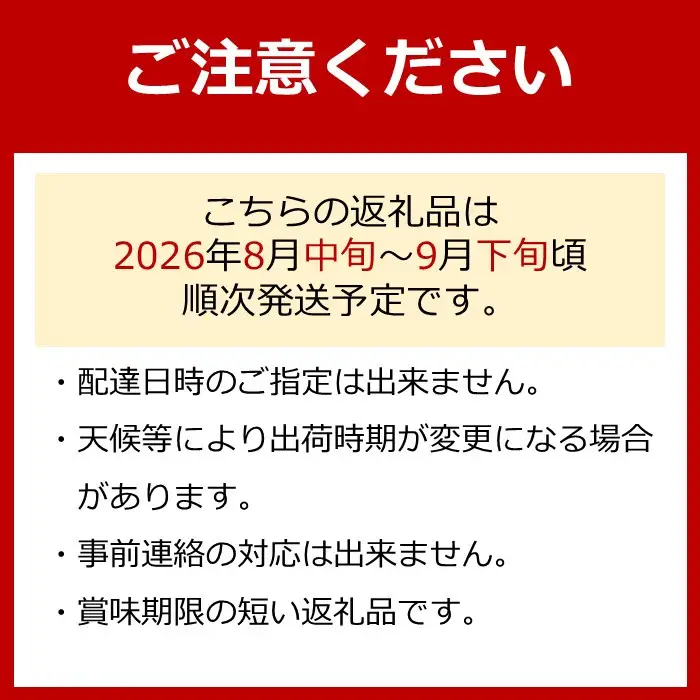 ［先行予約］シャインマスカット 約1.2kg ［2026年8月中旬以降順次発送］