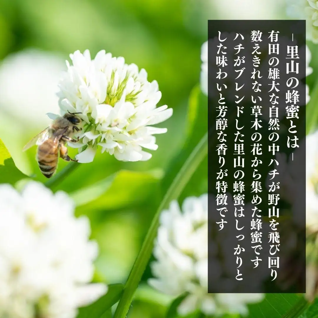 ありだ里山の蜂蜜（1200ｇ×2本セット）
