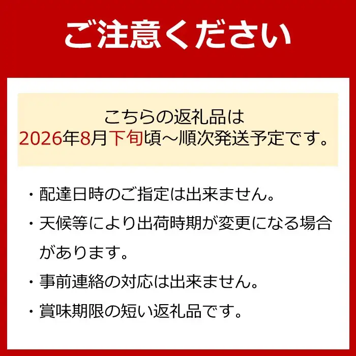 ［先行予約］シャインマスカット 約2kg  (3房～5房) 有田巨峰村 【朝採 新鮮】■2026年発送■※8月下旬頃から9月下旬頃まで順次発送予定 | ぶどう シャインマスカット ぶどう