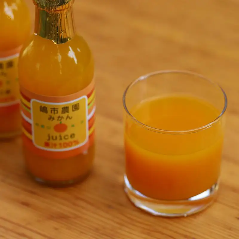 100％ みかんジュース 200ml 合計10本 セット ストレート 無添加 嶋市農園 ｜ 和歌山有田 丸絞り 和歌山 有田 国産 果汁