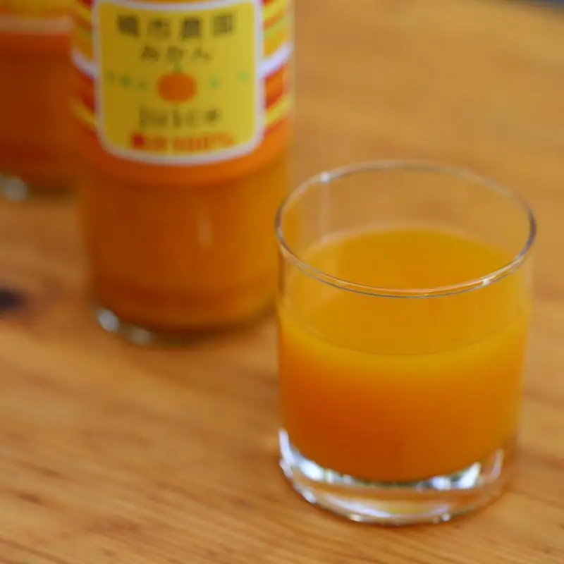100％ みかんジュース 500ml 合計4本 セット ストレート 無添加 嶋市農園 ｜ 和歌山有田 丸絞り 和歌山 有田 国産 果汁