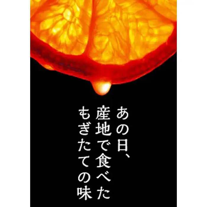 【賢宝】マルケンみかん果汁100％ジュース （化粧箱／7本入り×4ケース）もぎたてみかん味のストレートジュース