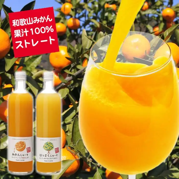 和歌山みかんジュース2種類セット（750ml×2本入）果汁100％無添加ストレート