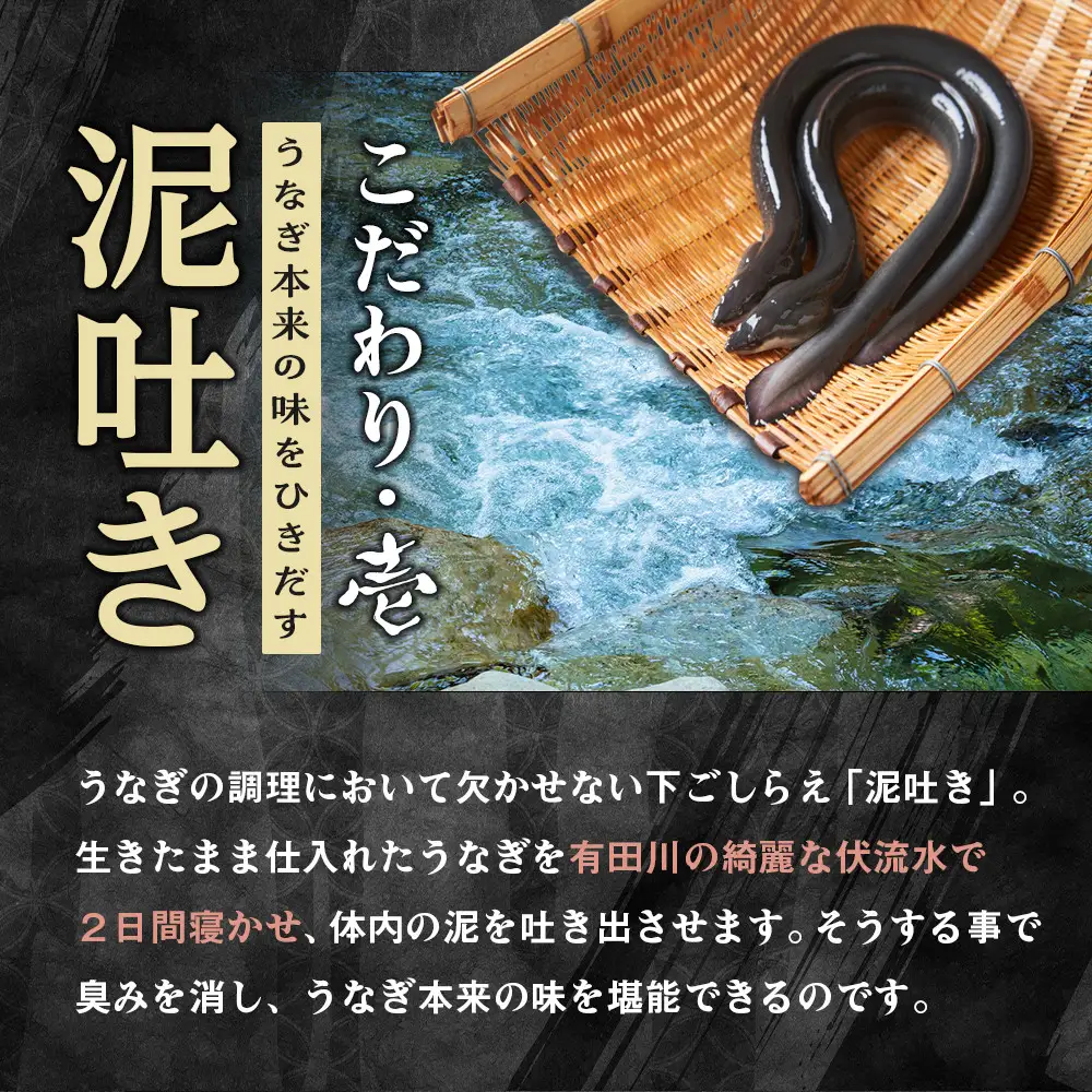 国内産うなぎ蒲焼８尾！うなぎ