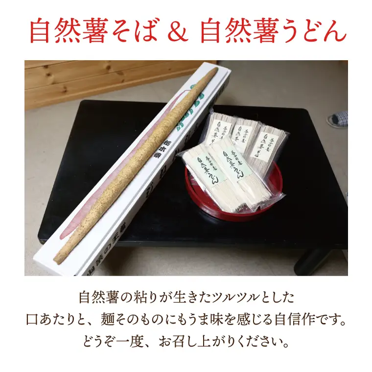 自然薯 そば うどん 10袋 益子町産 AJ002