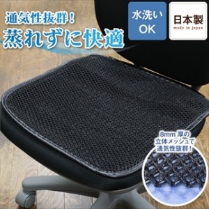 メッシュ座布団 黒 2枚 〈丹波市〉 クッション 蒸れ防止 座布団