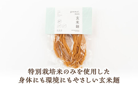 麺 グルテンフリーの玄米麺と日本海のあごだし麺つゆセット（6食） [AIBM002]