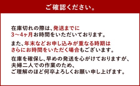 おにぎり皿（大）2枚セット お皿 食器