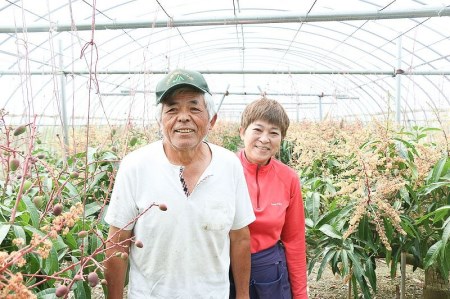 【2026年 観光雑誌付き】奄美産マンゴー 優品・美玉1kg とろける甘さの黄金果肉 樹上完熟 A052-019
