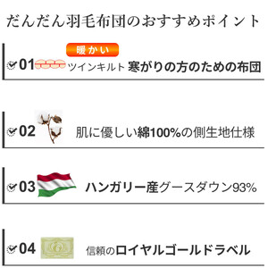 羽毛布団 シングル ハンガリー産 グースダウン93% 1.3kg ツインキルト 400dp