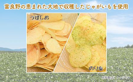 【3ヵ月に1回お届け】JAふらの ポテトチップス 【ふらのっち】うすしお＆のり塩各12袋 計24袋 ふらの農業協同組合(南富良野町) 芋 菓子 スナック じゃがいも お菓子 ポテチ 定期便 