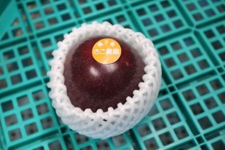 【 6月下旬～8月初旬 先行予約 】種子島 さご農園 パッションフルーツ サマークイーン (20個)　NFN040【450pt】 