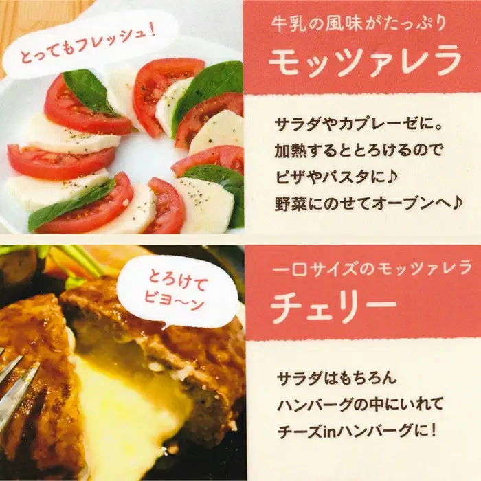 榎本牧場チーズ工房　詰め合わせセット（4種：計500g）【榎本牧場】