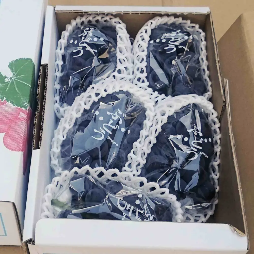 ぶどう（ピオーネ）３ｋｇ　0009-2604
