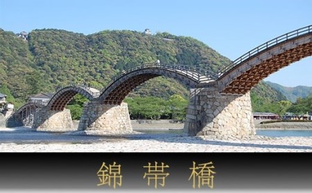 「錦帯橋」観光タクシー小型3時間貸切券【第一交通株式会社】