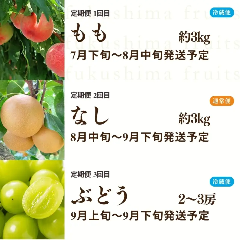 No.2528 【2026年発送分】フルーツ３種定期便　（桃約３kg、梨約３kg、ｼｬｲﾝﾏｽｶｯﾄ2～3房）