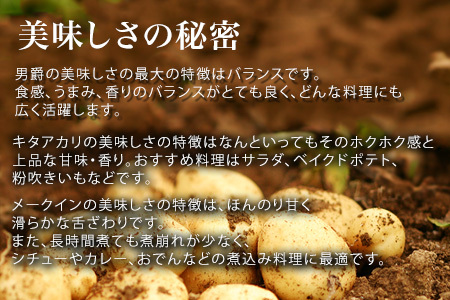 じゃがいも【令和８年産予約受付！】 じゃがいも 3種セット 男爵 キタアカリ メークイン 北海道   [011-61]