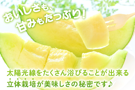 B-999 めっちゃ甘いアムスメロン4～5玉
