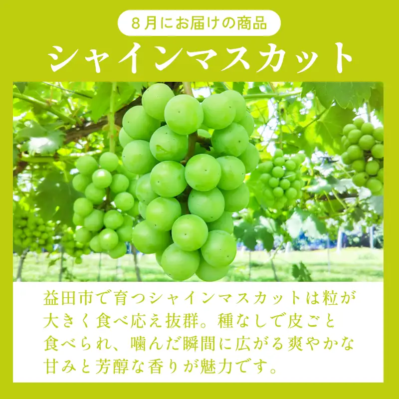 D-948 益田のおいしい果物  定期便(3回コース)
