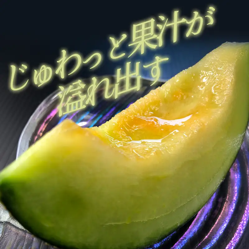 A-546 今年もおいしい『アムスメロン2玉』