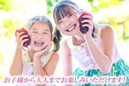 A-164 益田産デラウェア