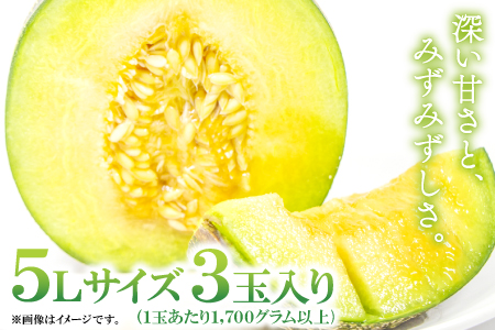 A-169 益田産アムスメロン　特大5Lサイズ（3玉入り）
