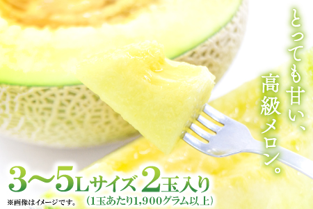 A-168 益田産アールスメロン（2玉入り）【夏作】