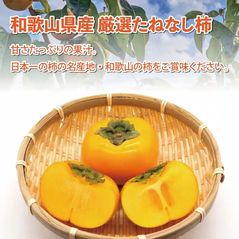 ［先行予約］厳選 たねなし柿 約2.5kg［刀根早生・平核無柿（ひらたねなしかき）］［カキ・種無柿・種無し柿・種なし柿・無核柿］［IKE95］