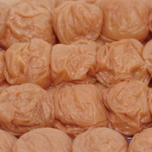 《紀州南高梅》はちみつ梅干し　つぶれ梅（ご家庭用）1kg