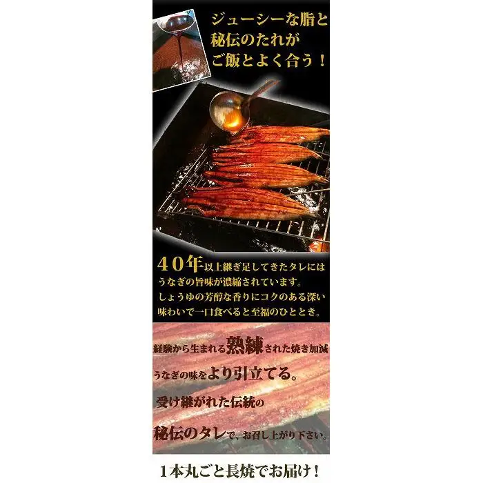 大型サイズ ふっくら柔らか 国産うなぎ蒲焼き 3尾 ［UT06］