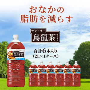 サントリー烏龍茶 OTPP 2L 6本 セット 詰め合わせ 機能性表示食品 お茶 サントリーウーロン茶 サントリー 烏龍茶 ウーロン茶 ペットボトル 中国茶 茶 脂肪を減らす 健康茶 健康 飲み物 ドリンク 飲料 神奈川 神奈川県 綾瀬市
