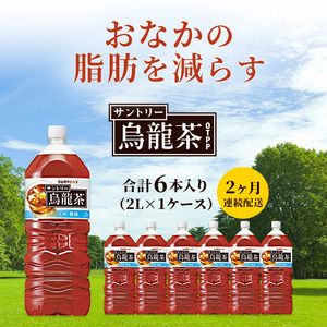 烏龍茶 定期便 2ヶ月 サントリー烏龍茶 OTPP 2L 6本 セット 詰め合わせ 機能性表示食品 お茶 サントリーウーロン茶 サントリー ウーロン茶 ペットボトル 中国茶 茶 脂肪を減らす 健康茶 健康 飲み物 ドリンク 飲料 神奈川 神奈川県 綾瀬市 定期 2回