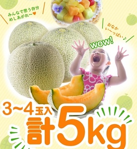 SA2931　庄内砂丘 『赤肉メロン』　約5kg(3～4玉入) 品種おまかせ