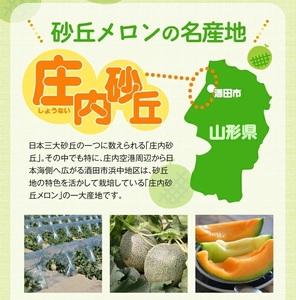 SA2932　庄内砂丘 『青肉・赤肉メロン』セット　約5kg 計4玉(各2玉入) 品種おまかせ