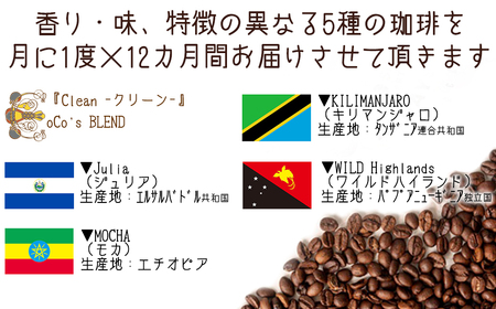 【宝塚】12ヶ月の定期便（当日自家焙煎珈琲豆5種類）【粉】