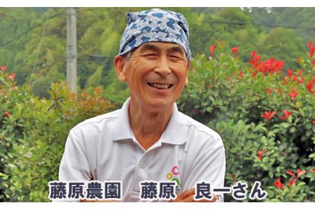 里地・里山のめぐみ 純粋ハチミツ（アカシア） 1kg ＜数量限定＞