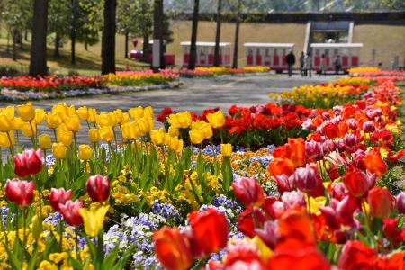 とっとり花回廊ギフト入園券２枚