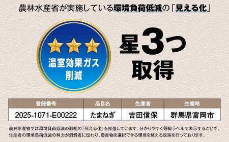 形や大きさより味にこだわった玉ねぎ (10kg) 有機肥料 たまねぎ 玉ねぎ オニオン 甘七宝甘70 ソニック 野菜 食品 F20E-936
