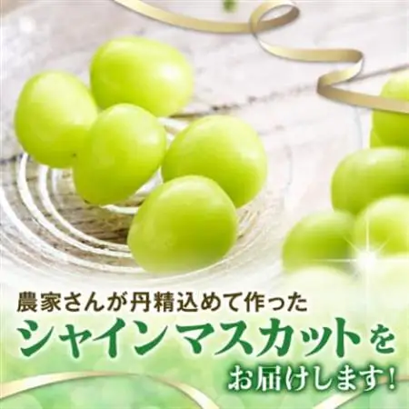 【2026年発送】やみつきシャインマスカット 1.2kg (2～3房)【配送不可地域：離島】【1304362】