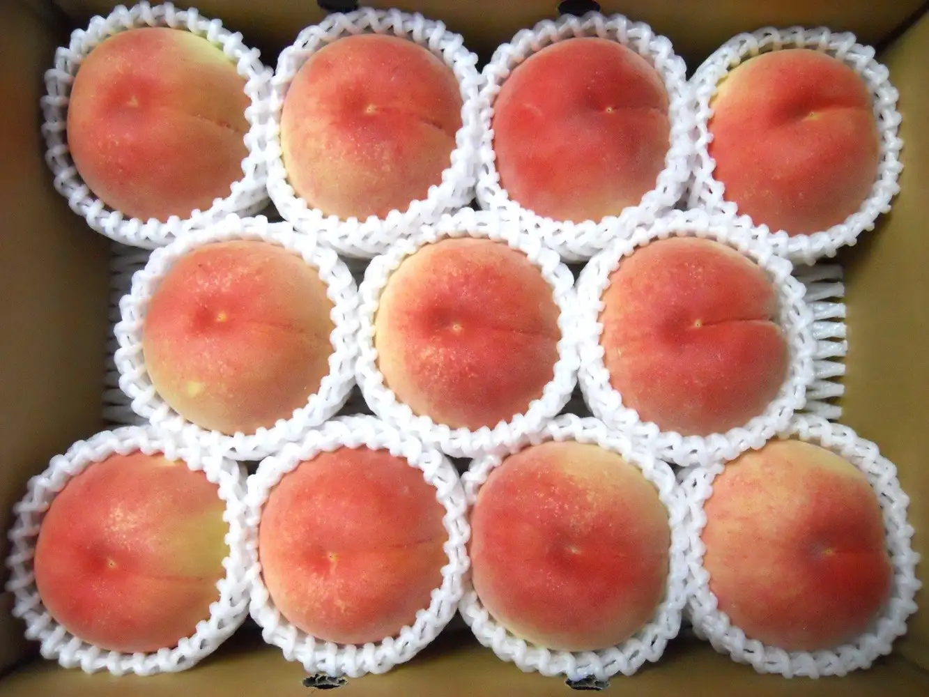 山形の旬の桃（品種おまかせ）３ｋｇ　0017-2603