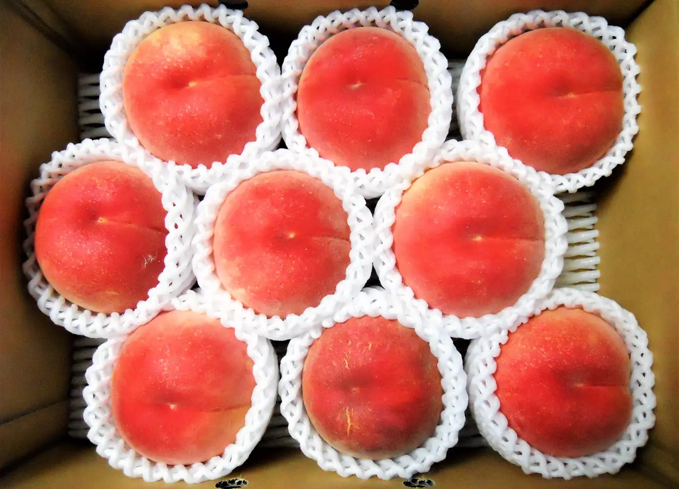 山形の旬の硬い桃（品種おまかせ）３ｋｇ　0017-2604