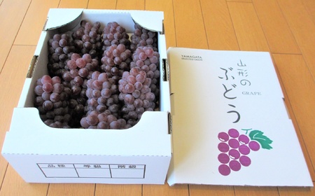 ぶどう（デラウェア）２ｋｇ　0085-2601