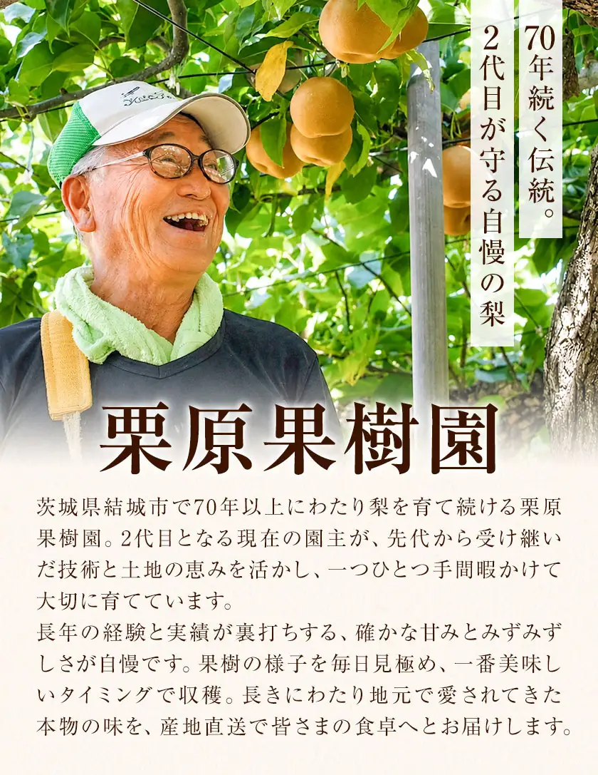 【先行予約】栗原果樹園 梨 5kg  恵水 《9月上旬-9月下旬頃出荷予定》茨城県 結城市 なし 梨 フルーツ 旬 果物 【配送不可地域あり】(離島)