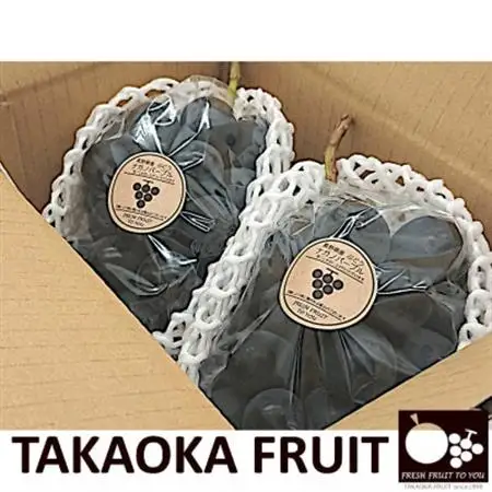 2026年発送「産地より信州中野の旬をお届け」 ナガノパープル　贈答用　約1kg【配送不可地域：離島】【1311109】